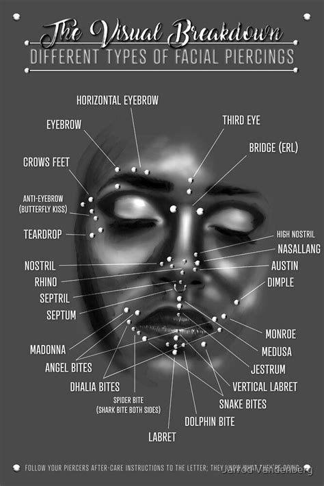 Face Piercing Chart Black And White By Jarrod Vandenberg Redbubble Face Piercings