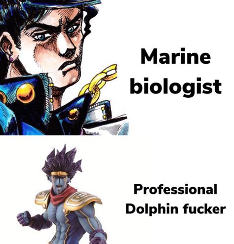 Dolphin X Jotaro Now Laugh Scrolller