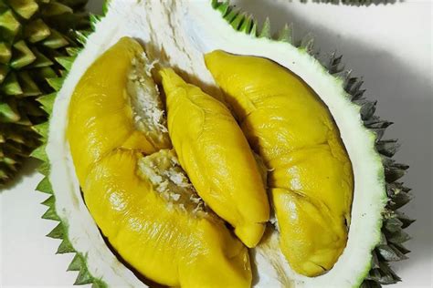 14 Arti Mimpi Makan Durian Menurut Primbon Jawa Dan Ilmu Tafsir Yang