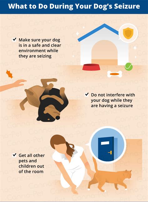 Trying to train your dog while he's excited will only. What to Do After Your Dog Has a Seizure | Canna-Pet
