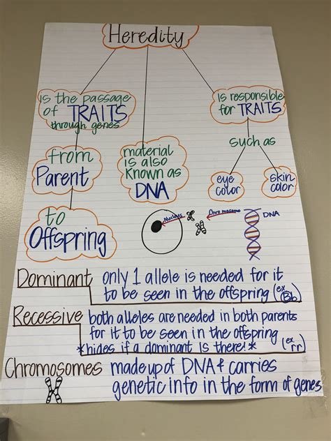 Heredity Anchor Chart 7th Grade Science Science Anchor Charts Genetics Lesson