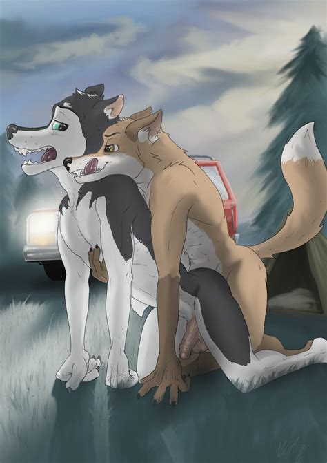 Rule 34 Alaskan Malamute All Fours Anal Anal Sex Anthro Bethesda