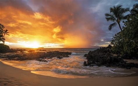 Nature Landscape Sunset Sand Beach Palm Trees Sea
