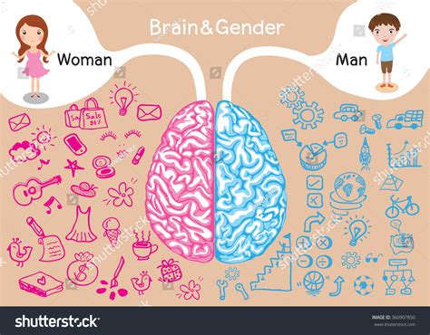 Brain And Gender Difference Between Man And Woman Stock Vector