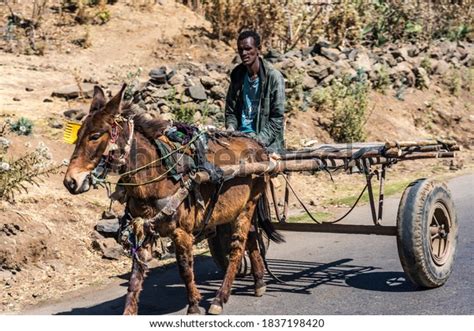 Gondar Ethiopia Feb 07 2020 Ethiopian Stock Photo 1837198420 Shutterstock