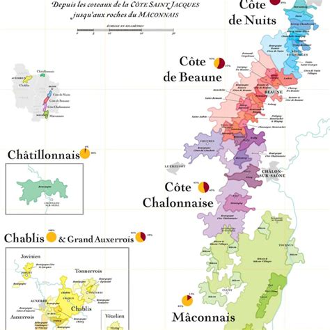 Vinkart Bourgogne Vindesign