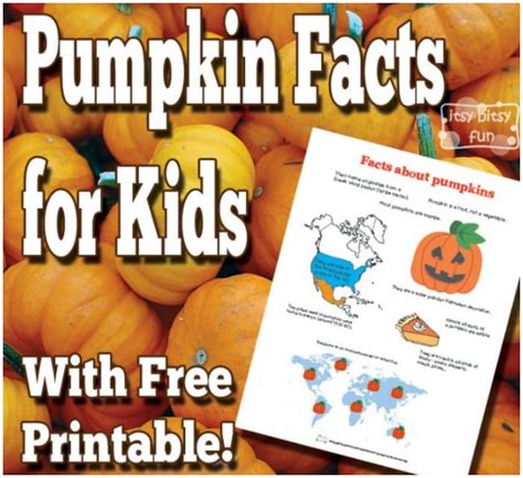 Fun Facts For Kids Free Learning Printables