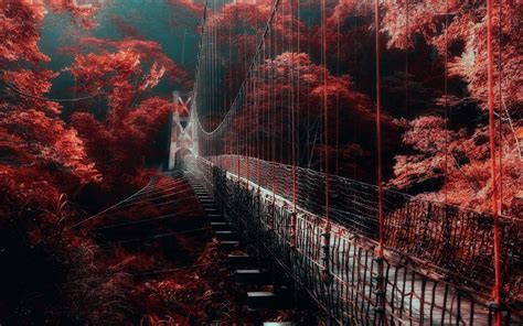 2809917 Nature Landscape Red Forest Bridge Mist Trees Walkway
