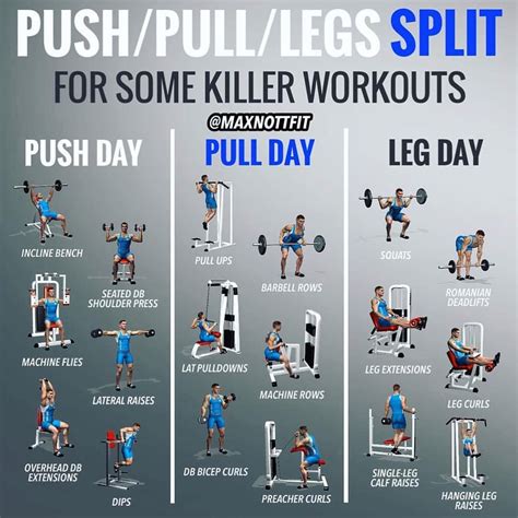 Push Pull Legs Weight Training Workout Schedule For Days Gymguider Com Push Workout Push