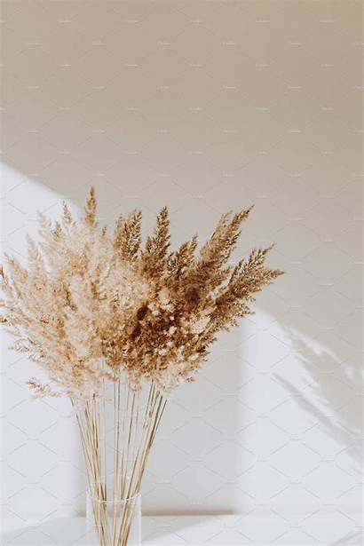 Aesthetic Cream Beige Flowers Reeds Vase Creativemarket