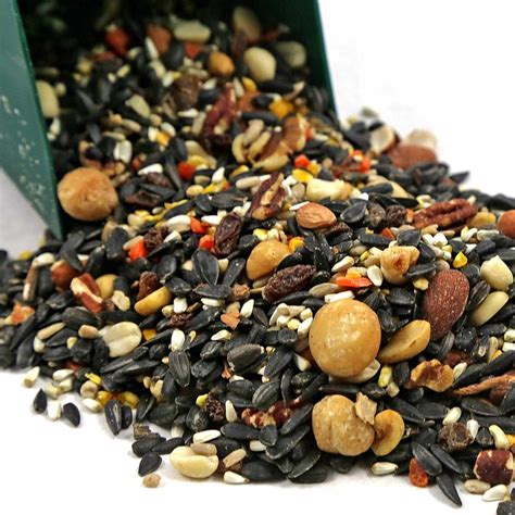 Bounty Mix Wild Bird Seed 20 Lb Chirp Nature Center