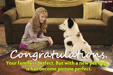 Congratulations Messages For New Dog Wishesmsg