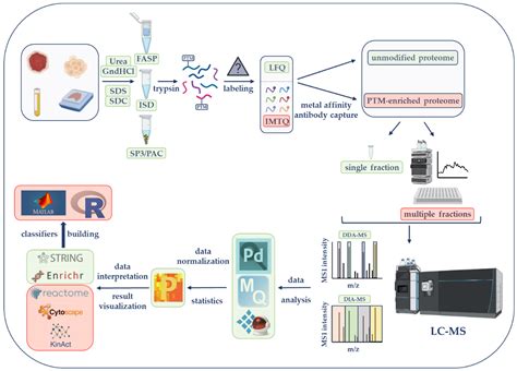 Cancers Free Full Text Mass Spectrometry Based Proteomics Workflows