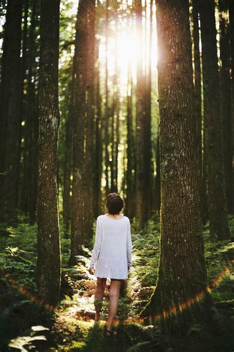20 Forest Photography Ideas For Your Inspiration · Inspired Luv