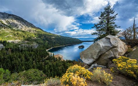 Download Flower Forest Tree Mountain Lake Nature Lake Tahoe 4k Ultra Hd
