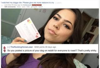 16 People That Asked To Be Roasted And Were Utterly Destroyed Funny