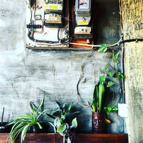 We did not find results for: Froots Juice Bar Bali | Juice bar, Bali, Painting