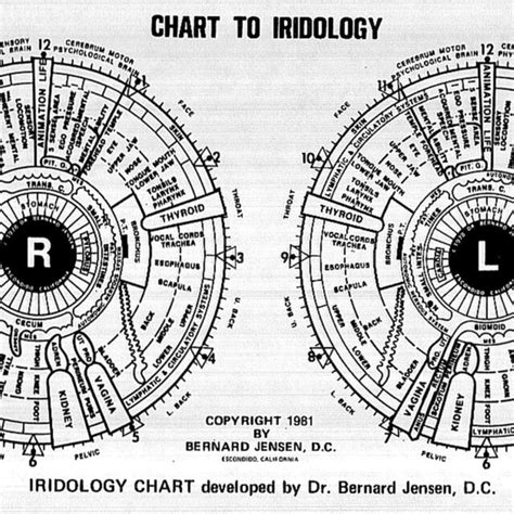Iridology Chart By Dr Jensen 19 Download Scientific Diagram