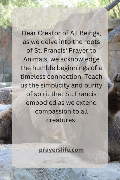 17 Useful St Francis Prayer To Animals