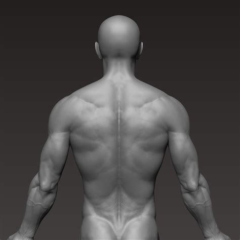 3d File Anatomically Correct Muscular Male Body Low And High Poly Low