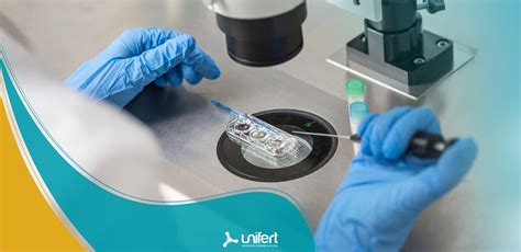 Fertilização in vitro passo a passo entenda como funciona o processo Unifert Reprodução Humana