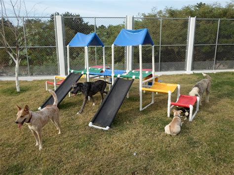 Estacion De Juego Para Perros Spaniel Park Slide Fauna Dogs Animals