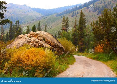 Mountain Road At Mineral King Sequoia National Park Stock Image
