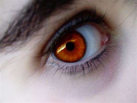 Eyes Color Orange By Kazuelonga On Deviantart