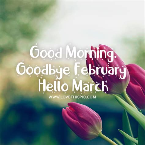 Goodbye February Hello March Morning Quote Pictures Photos And Images