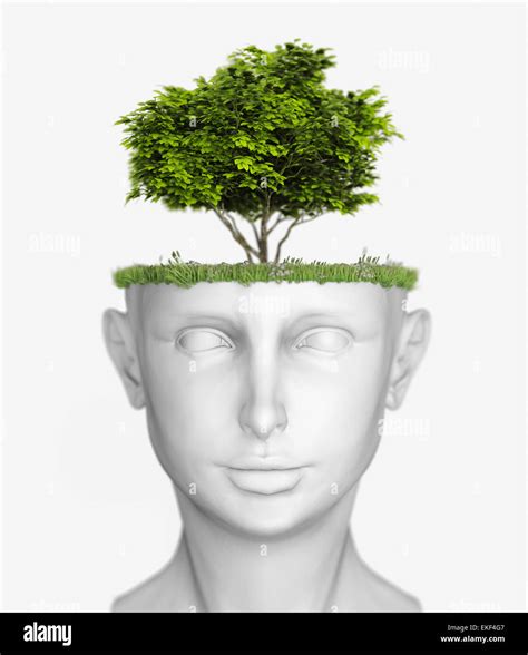 Human Head And Tree Illustration Hi Res Stock Photography And Images