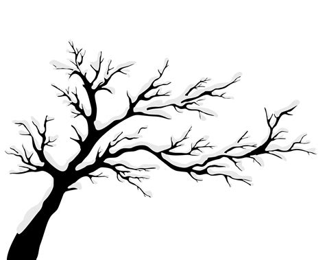 Maple Tree Silhouette 1 Transparent Png Svg Vector File Images