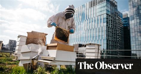‘honeybees Are Voracious Is It Time To Put The Brakes On The Boom In