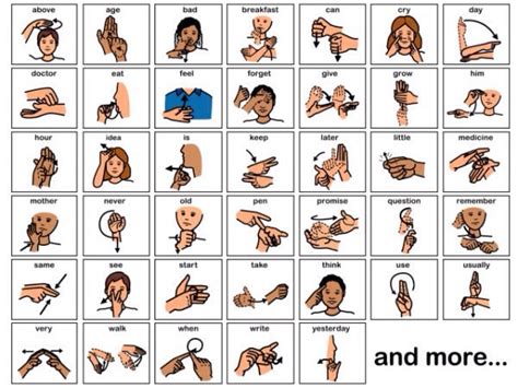 Learn Sign Language Musely