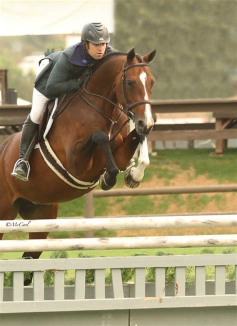 Cpha West Coast Green Hunter Incentive Championships 2020 Blenheim