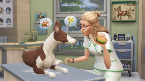 Kaufe Das Die Sims™ 4 Bundle Hunde And Katzen Und Mein Erstes Haustier