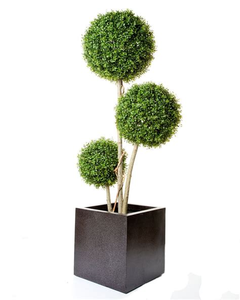 Artificial Boxwood Triple Stemmed Ball Tree Just Artificial
