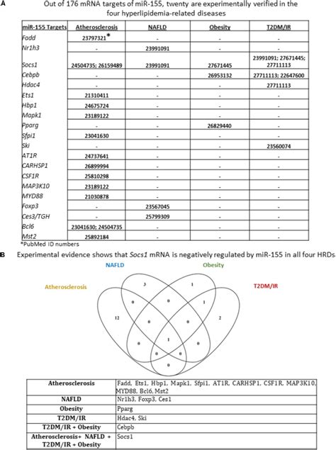 Transcription and translation practice worksheet #242988. Transcription And Translation Practice Worksheet Answers — db-excel.com