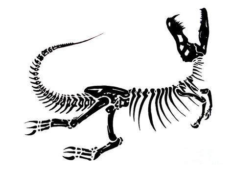 Dinosaur Bones Clipart