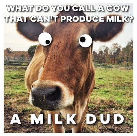 i love milk duds meme by infinite memes memedroid