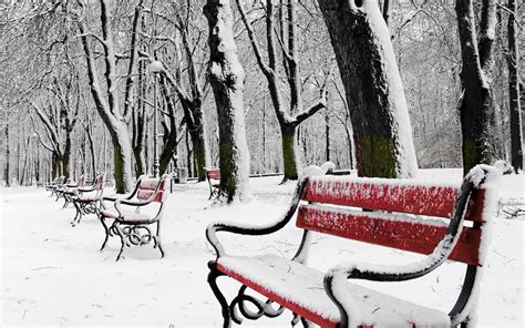 Benches In Snowy Winter Park Hd Wallpaper Background Image