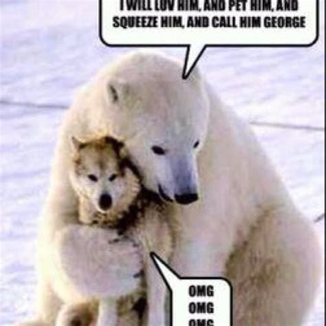 Review Of Funny Meme Polar Bear Ideas