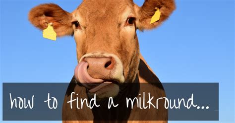 Please answer screening questions before class through our risk information consent form. Find Milk Delivery Near Me | the complete guide