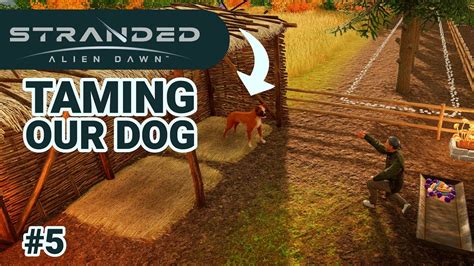 Stranded Alien Dawn Taming Our First Dog Letsplay E5 Youtube