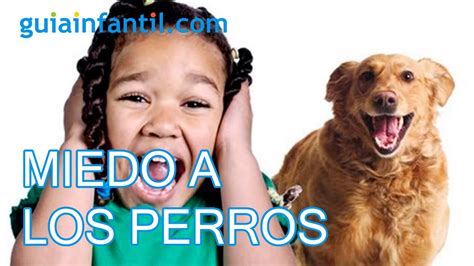 Miedo A Los Perros Y Otros Animales En Los Niños Youtube