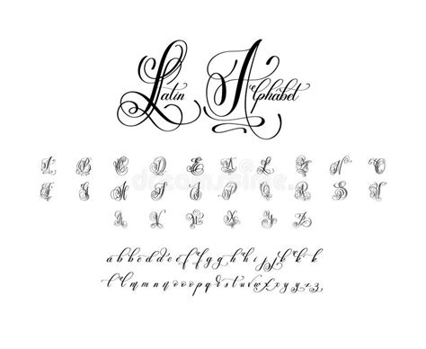 Hand Drawn Latin Calligraphy Brush Script Of Capital Letters
