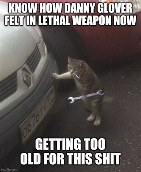Cat Mechanic Imgflip