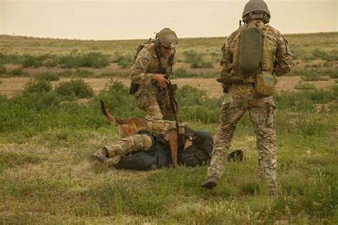 Us Army Soldiers And Special Operations K9 Both Nara And Dvids
