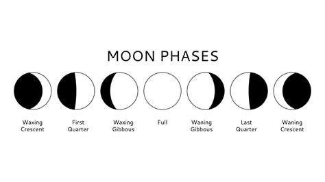 Growing Cannabis By Phases Of The Moon