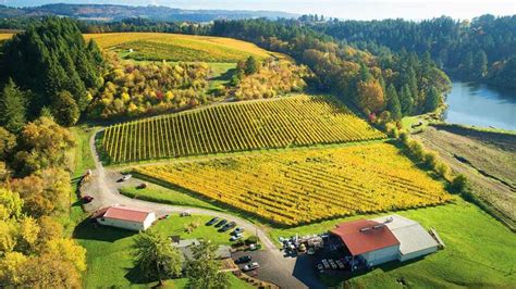 10 Best Oregon Pinot Noir Wines 2023 Taste Prices Uniqueness