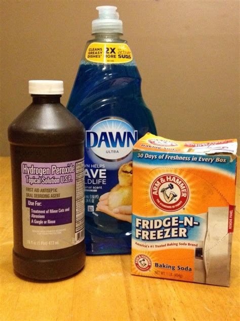Skunk Removal Recipe Hydrogen Peroxide | Besto Blog